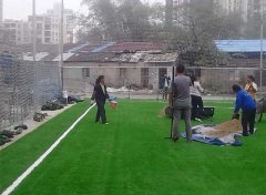 成都人造草坪施工客戶見證